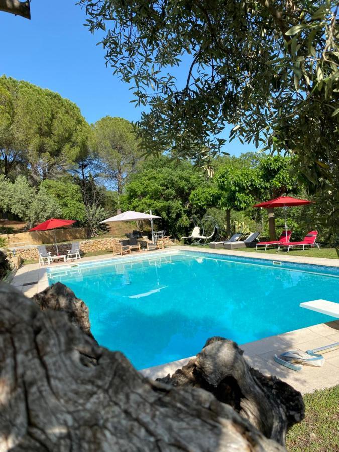 Chambres D'Hotes De Charme La Joseline Flayosc Luaran gambar